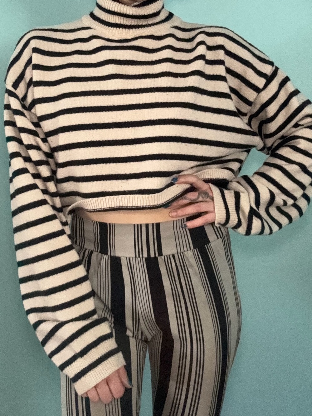 Cider Cream and Black Striped Cropped Turtleneck Sweater
